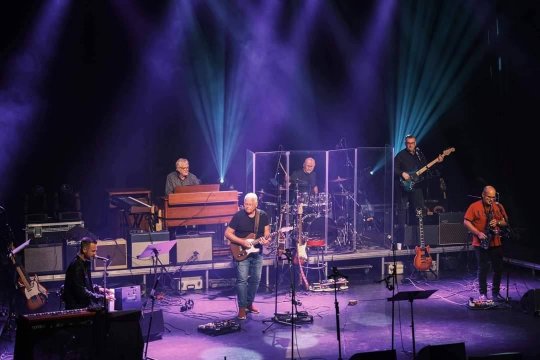 Pubkveld med Purple Trick